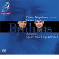 ブラームス:チェロ・ソナタ第1番 Op.38/Op.78/Op.120-1 (4/2006) :ピーター・ウィスペルウェイ(vc)/デヤン・ラツィック(p)