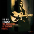 Godfather Of Chicago Blues