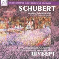 Schubert: Symphony No.8, No.9 / Alexander Dmitriev, St. Petersburg Academic Symphony Orchestra