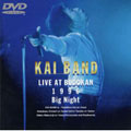 Big Night ～KAI BAND LIVE AT BUDOKAN 1996～