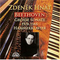 Beethoven: Piano Sonata No.29 Op.106 "Hammerklavier" (6/17-18/1978) / Zdenek Hnat(p)