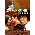 恋のめまい愛の傷 烈愛傷痕 DVD-BOX