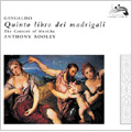 Gesualdo: Quinto libro dei Madrigali / Anthony Rooley(cond), Consort of Musicke