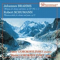 ブラームス: クラリネット・ソナタ第1番、第2番、シューマン: クラリネットとピアノのための幻想的小品集 Op.73