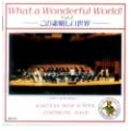 この素晴らしい世界 vol.2 《復刻盤》/洛南高等学校吹奏楽部