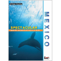 メキシコ SPECTACULAR