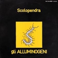 Scolopendra