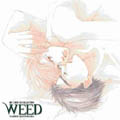 WEED