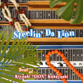 Steelin' Da Lion  ～Best of Kiyoshi "Lion" Kobayashi～