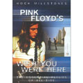 Pink Floyd's Wish You Were Here: Rock Milestones