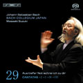 J.S.Bach: Complete Cantatas Vol.29: BWV.2, BWV.3, BWV.38, BWV.135 / Masaaki Suzuki, BCJ, Concerto Palatino, Peter Kooy, etc
