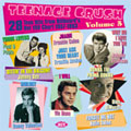 Teenage Crush Vol.5