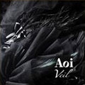Veil [CD+DVD]