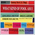 What Kind of Fool Am I & Other Show Stoppers