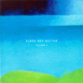 Slack Key Guitar Vol.2