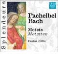 DHM Splendeurs -Motets -Pachelbell/J.S.Bach:Konrad Junghanel(cond)/Cantus Colln