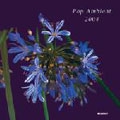 Pop Ambient 2004