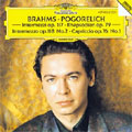 Brahms: Intermezzi Op.117, Rhapsodies Op.79, etc (6/1992) / Ivo Pogorelich(p)