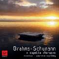 SCHUMANN & BRAHMS:A CAPPELLA WORKS:LAURENCE EQUILBEY(cond)/ACCENTUS CHAMBER CHOIR