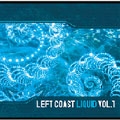 Left Coast Liquid Vol.1 Compiled By Bluetech