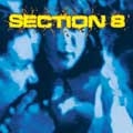 SECTION 8