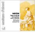 HAYDN:TRIOS FOR PIANOFORTE,VIOLIN & CELLO NO.43-NO.45:PATRICK COHEN(fp)/ERICH HOEBARTH(vn)/CHRISTOPHE COIN(vc)