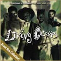 Everything Is Possible : The Best Of Living Colour