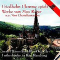 MAX REGER:EIN FESTE BURG IST UNSER GOTT/FREU DICH SEHR, O MEINE SEELE/ETC:FRIEDHELM FLAMME(org)