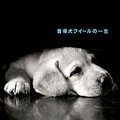 盲導犬クイールの一生/朗読:石田ゆり子