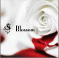 Blossom<初回生産限定盤>