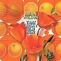 Brian Wilson/That Lucky Old Sun (US)