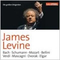 James Levine; KulturSPIEGEL Edition - Die Grossen Dirigenten
