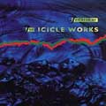 Best Of The Icicle Works