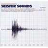 Seismic Sounds (Mixed By Meat Katie)