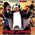 Notorious Dogg Pound Mix - Mixed By DJ Coke-E