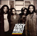 The Best of Ziggy Marley and The Melody Makers