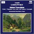 Godowsky: Schubert Transcriptions / Konstantin Scherbakov