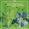 G.P.Telemann: Triosonaten "Trietti metodichi e Scherzi" -Trietti TWV.42-d1, TWV.42-D3, Trio Sonate TWV 42-G1, etc / Parnassi Musici