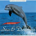 Sea & Dolphins