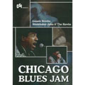 Chicago Blues Jam
