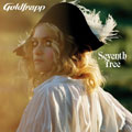 Seventh Tree:Deluxe Edition (US)  [CD+DVD]