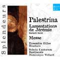 DHM Splendeurs:Palestrina:Ave Regina Coelorum/Gloriosi Principes Terrae/etc :D.Vellard(cond)/Ensemble Gilles Binchois/Cantus Figuratus/etc<限定盤>
