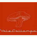 Vale Callampa (DIGI)