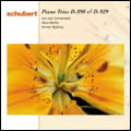 Schubert : Piano Trios D898, D929 / Immerseel , Beths , Bylsma