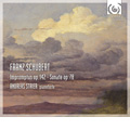 Schubert: Piano Sonata Op.78 D.894, Impromptus Op.142 D.935 / Andreas Staier