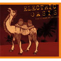 Electric Oasis Vol.1 (Exotic Arabian Grooves)