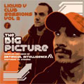 Liquid V Club Sessions Vol.2 : The Big Picture