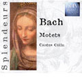 Splend -J.S.Bach: Motets:Cantus Colln