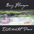 Instrumental Peace