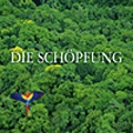 Haydn: Die Schoepfung / Bruno Weil, Tafelmusik, etc